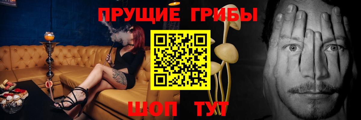 Псилоцибиновые грибы Psilocybe Усть-Илимск